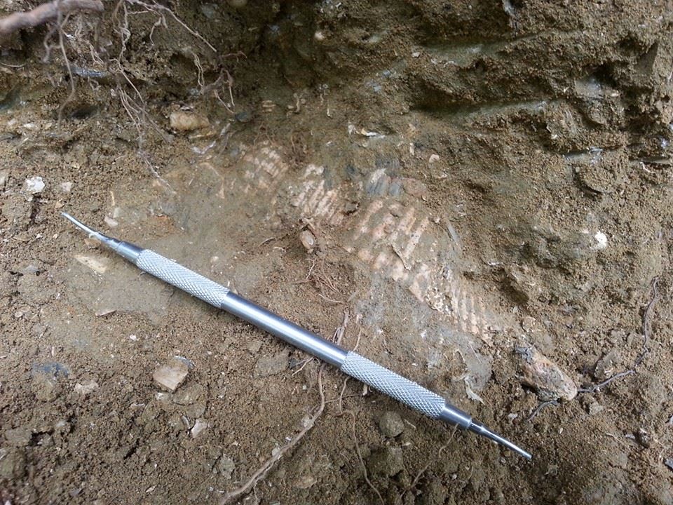 Un pezzo veramente particolare